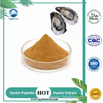 Supply Oyster Meat Extract Powder 98% Oyster Peptide